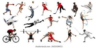 [网球]郑钦文蝉联最受球迷欢迎单打球员